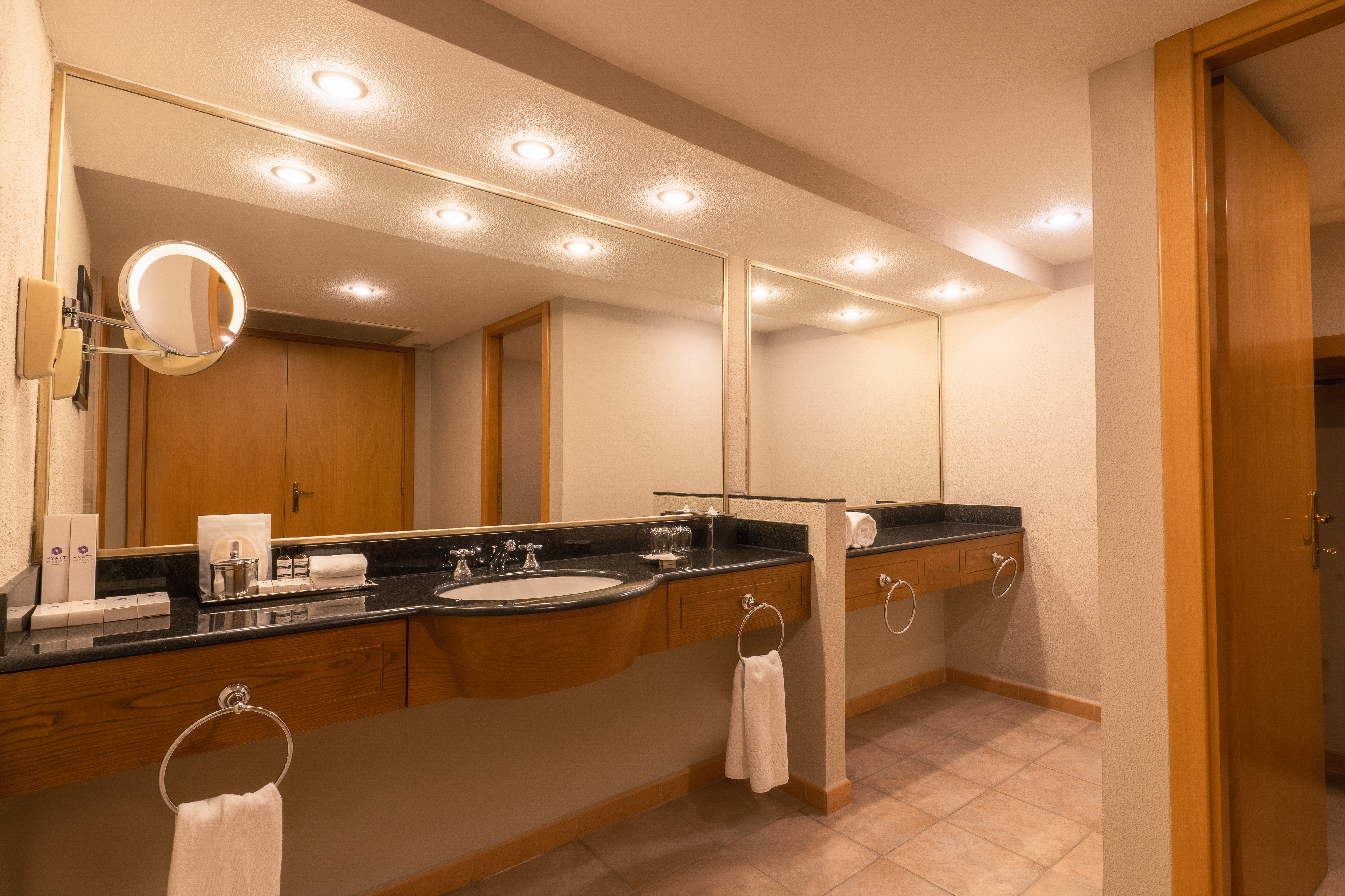 Suite King Bed Non Smoking