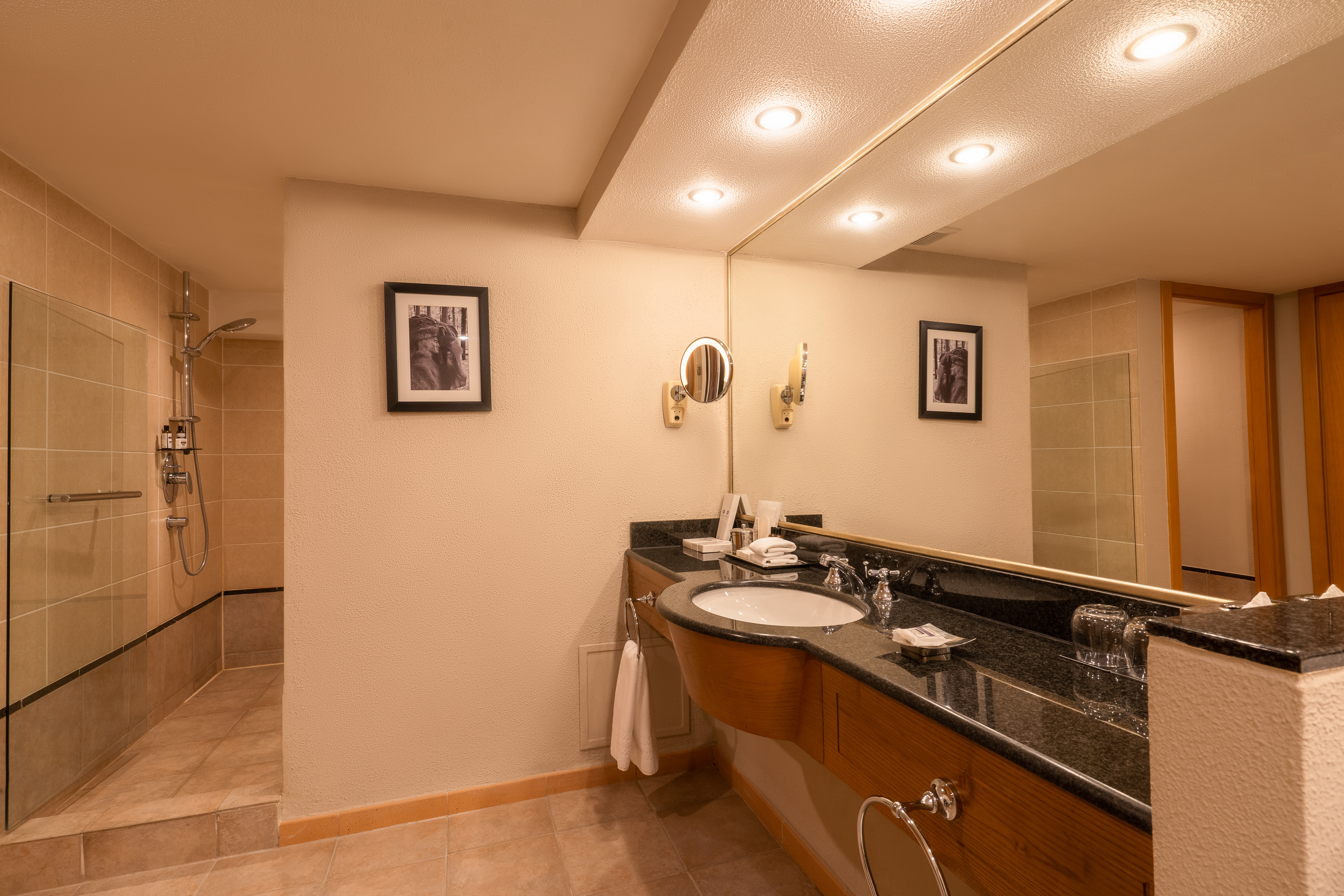 Suite King Bed Non Smoking