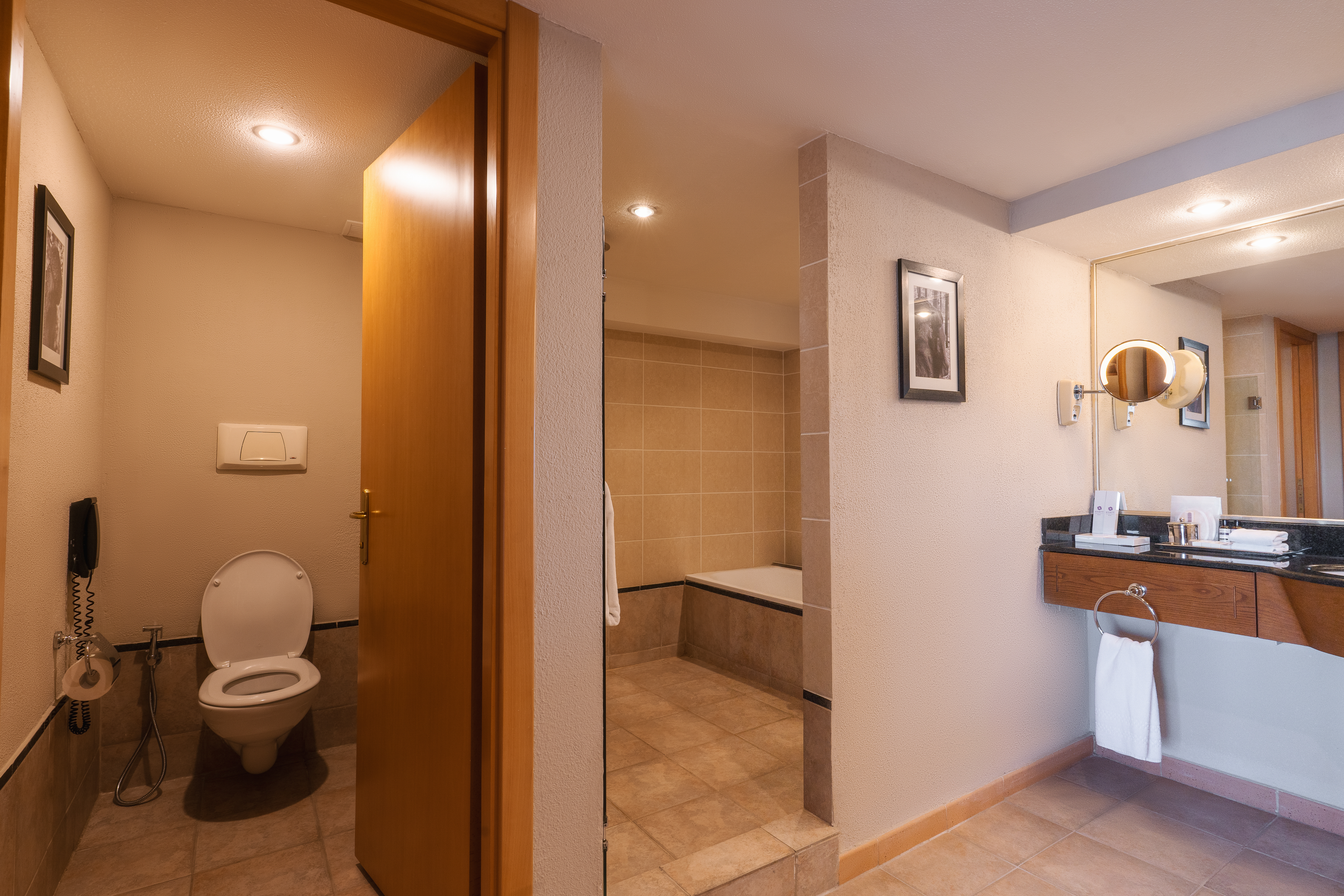 Suite King Bed Non Smoking