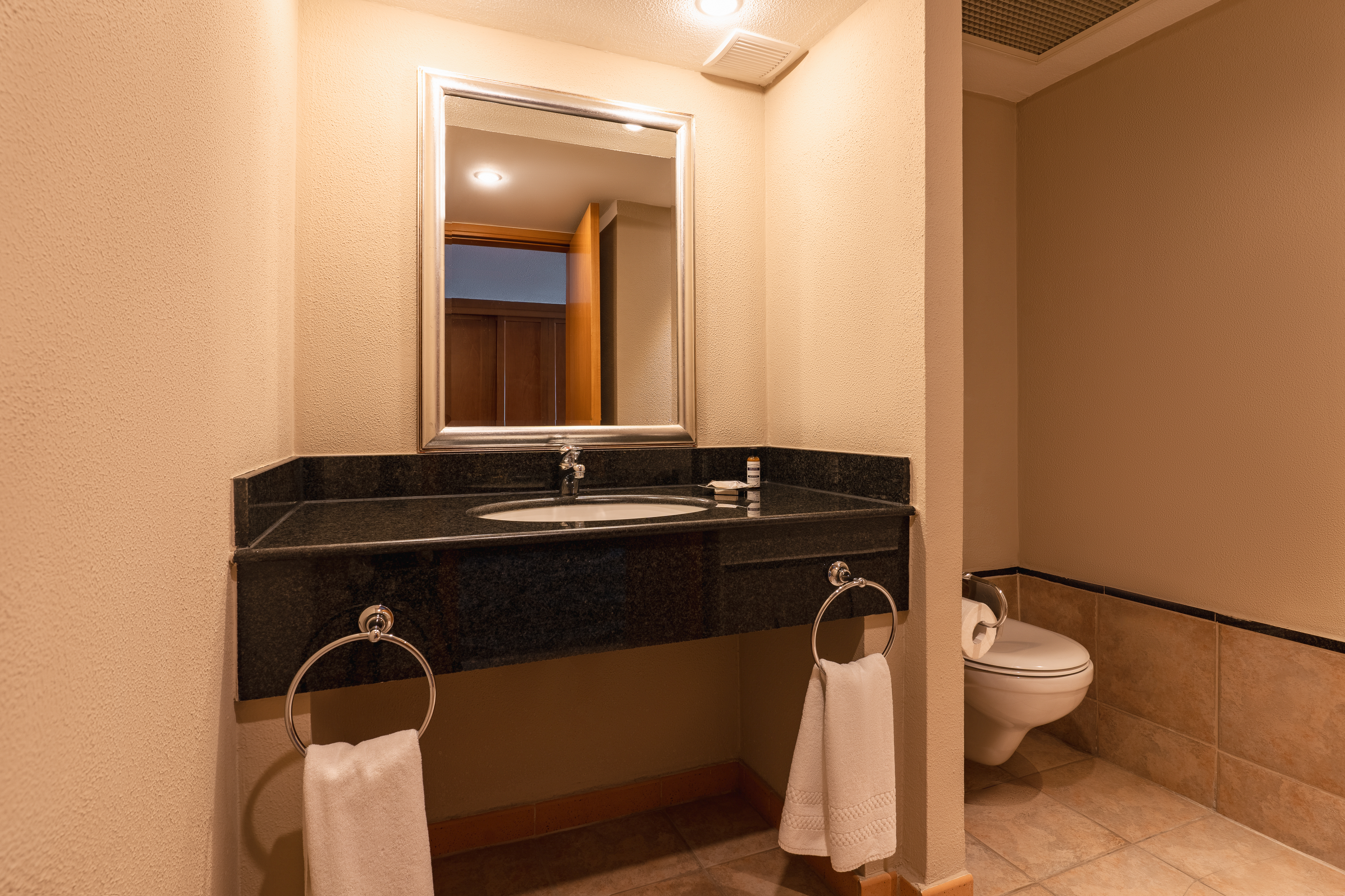 Suite King Bed Non Smoking