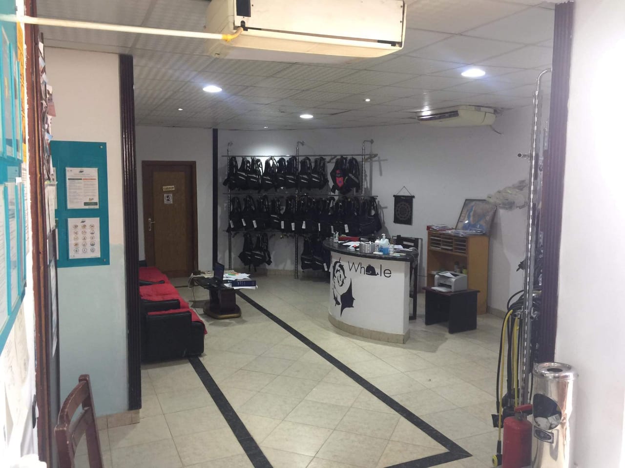 Sports and Entertainment