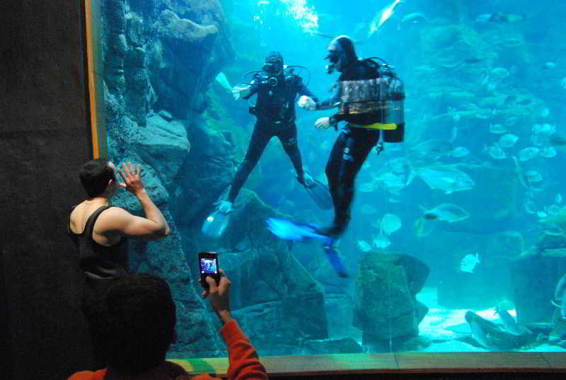 Sports and Entertainment