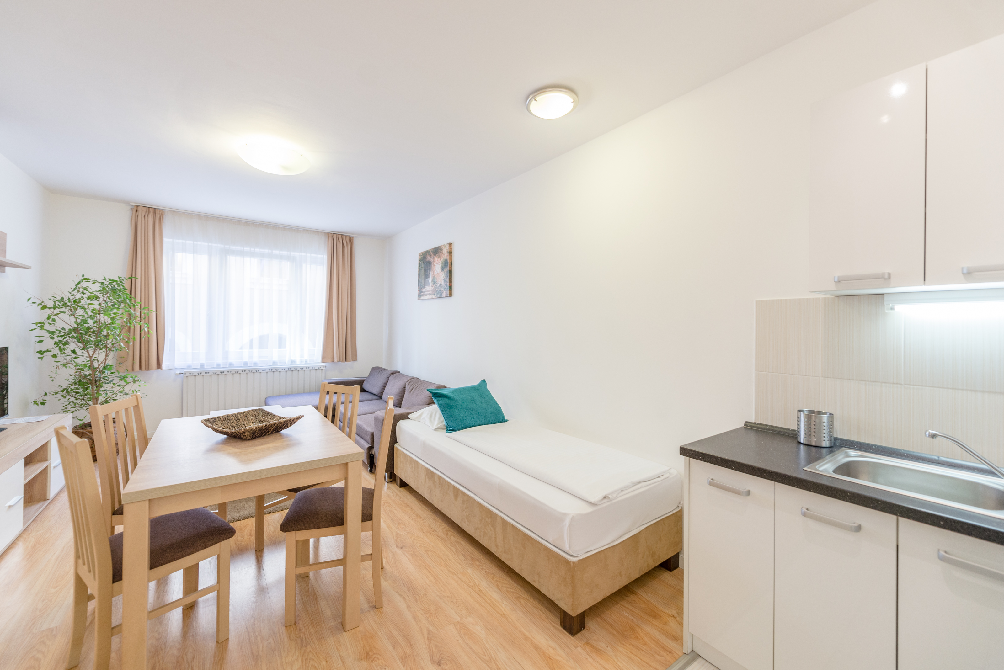 Apartment Capacity 5 One Bedroom