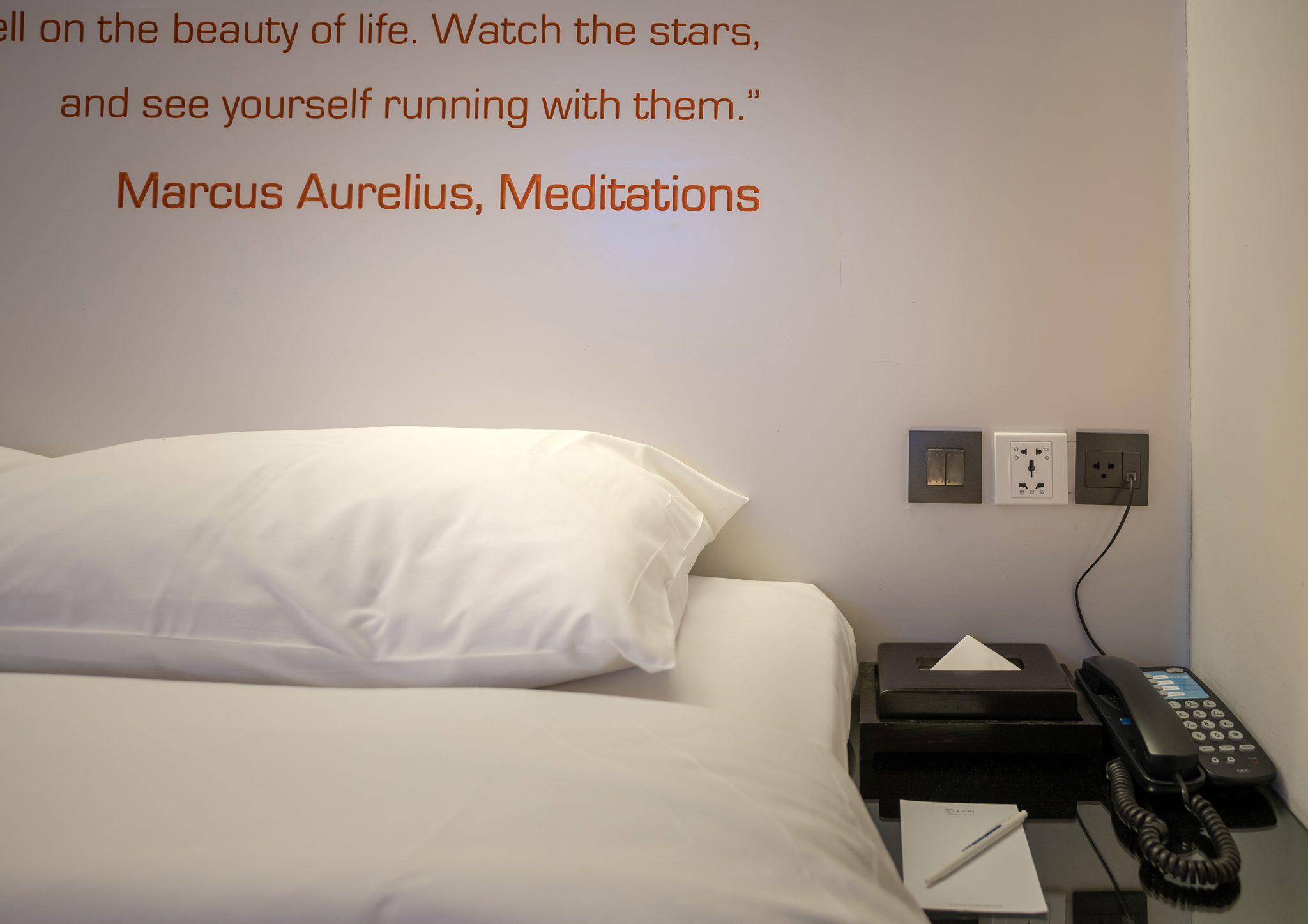 Double or Twin Standard