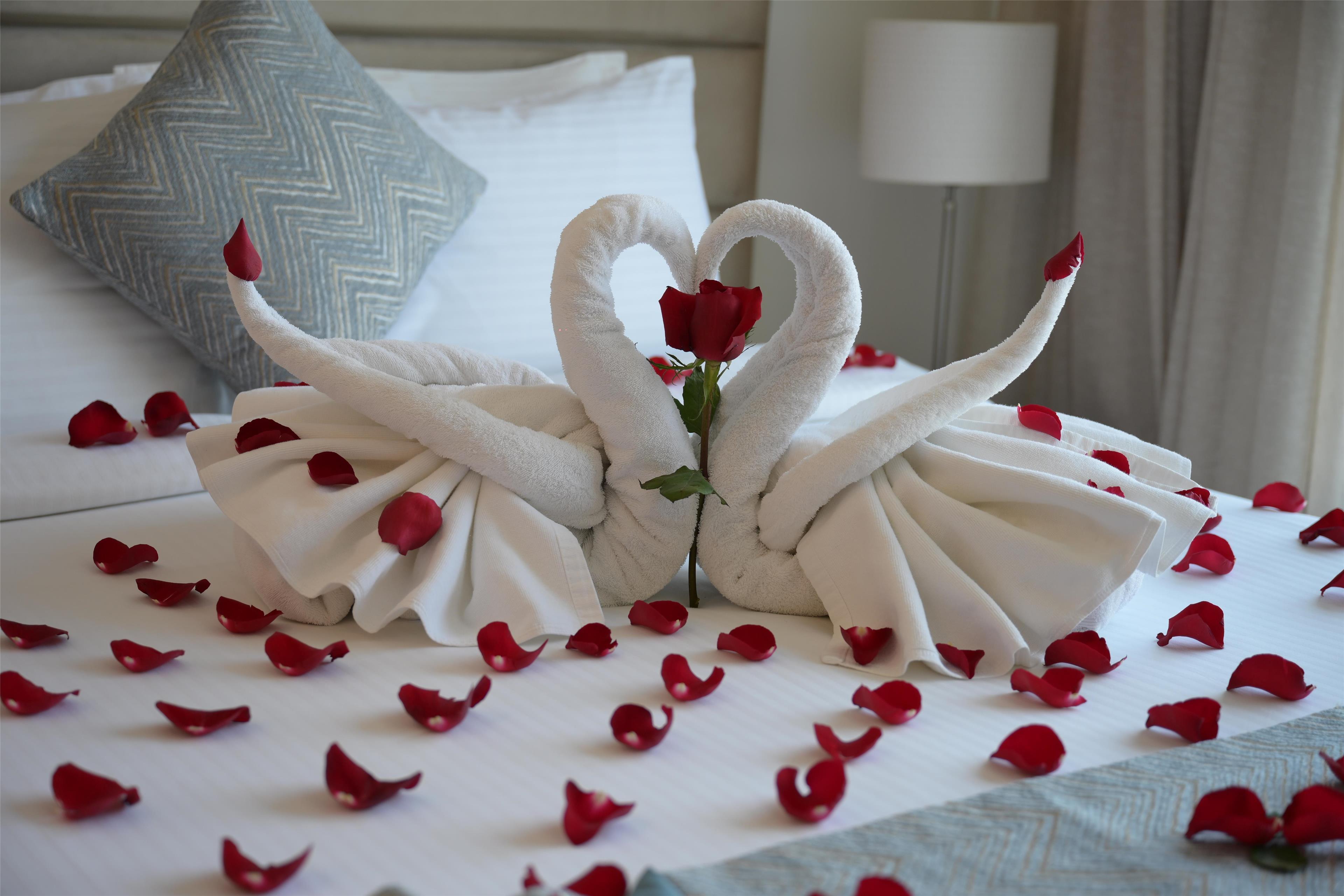 Apartment One Bedroom