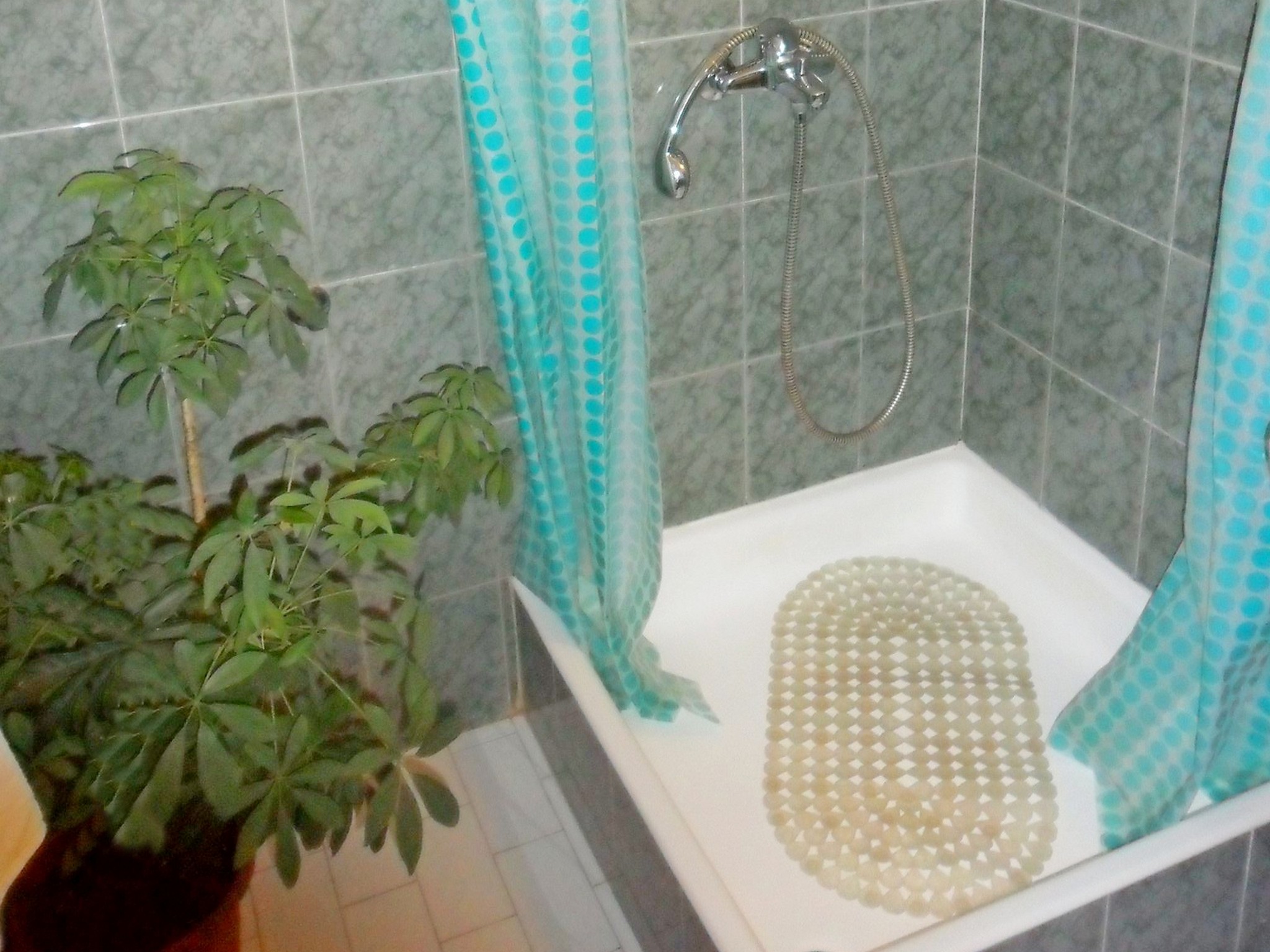 Apartment Capacity 2