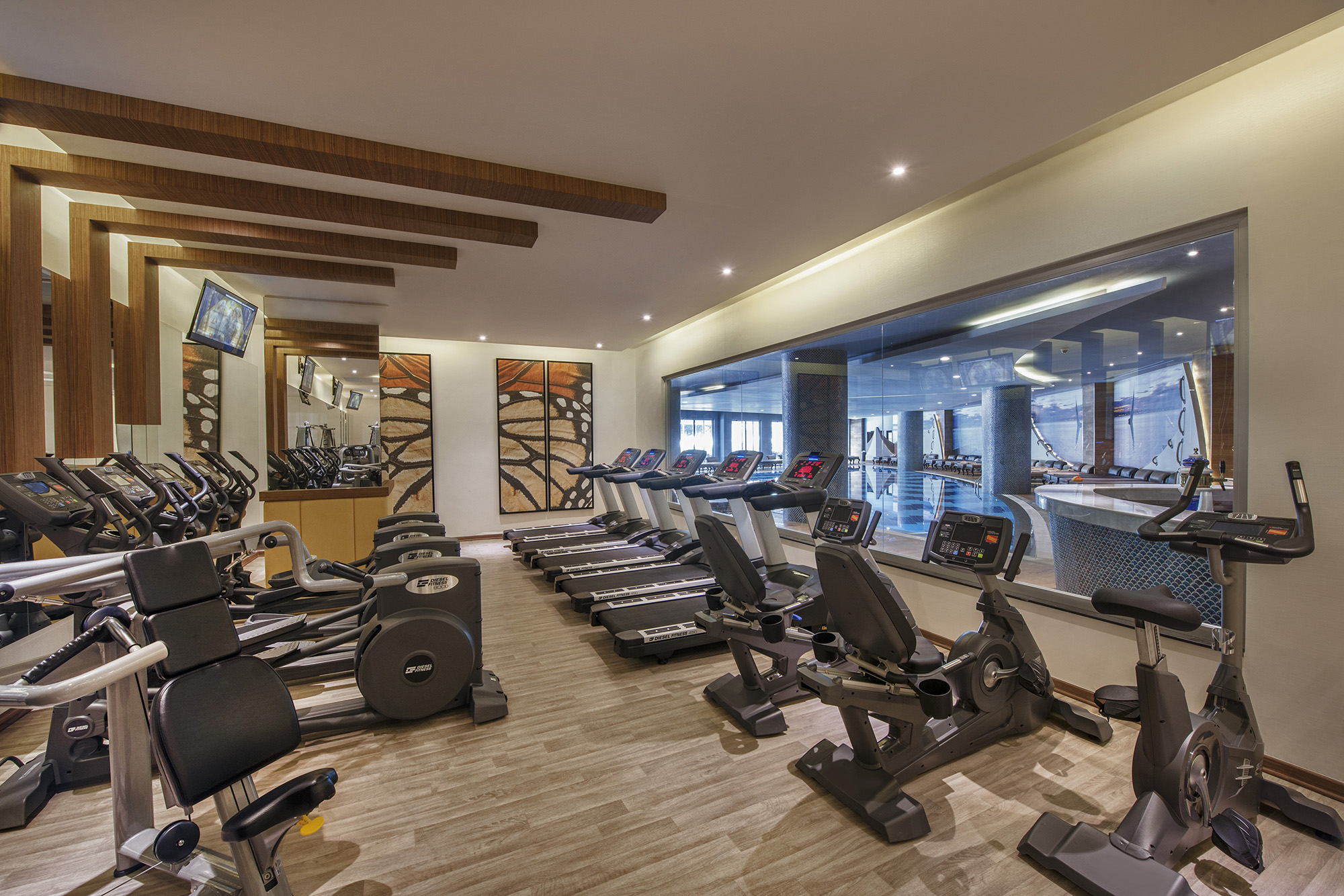 Sports and Entertainment