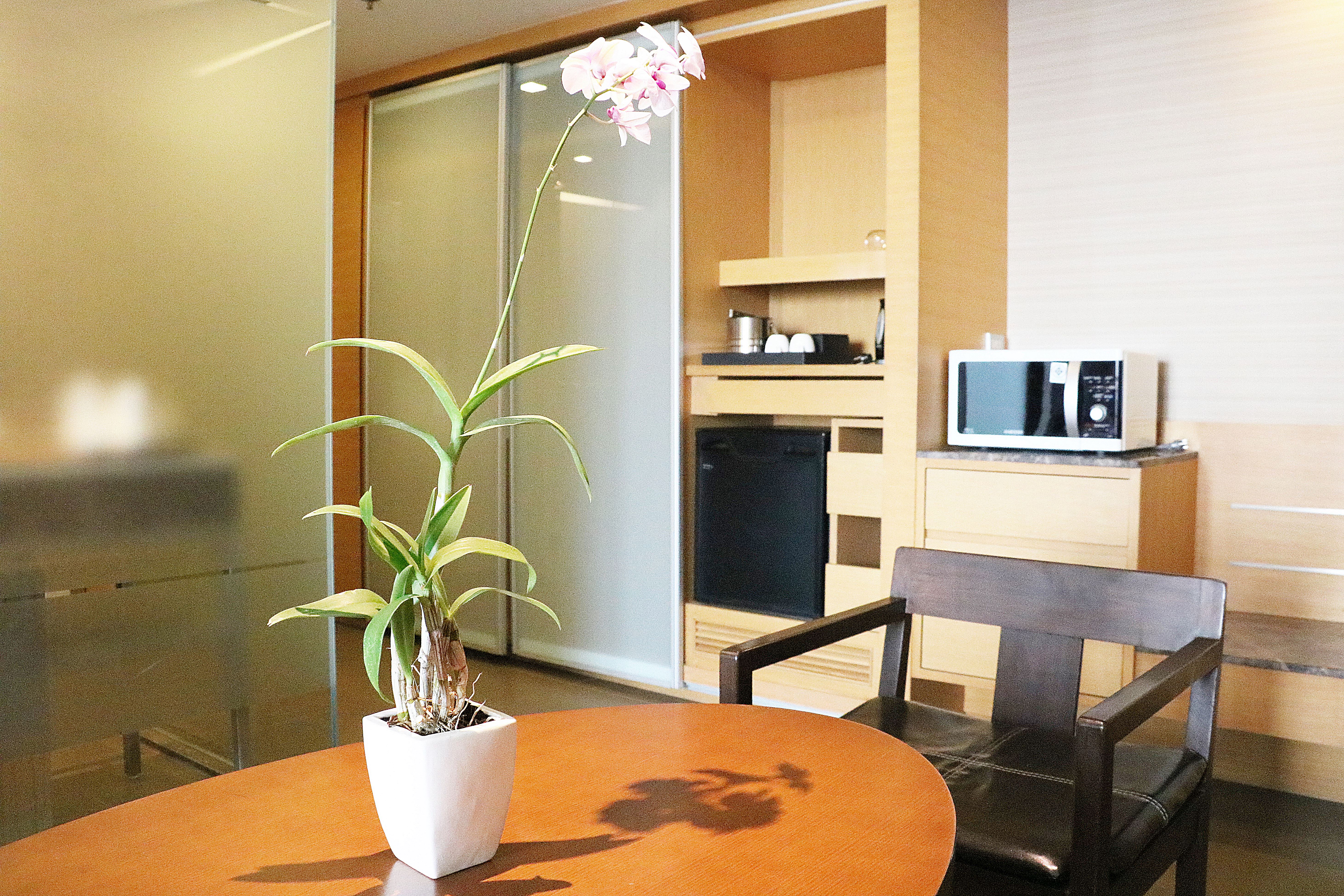 Double or Twin Premier