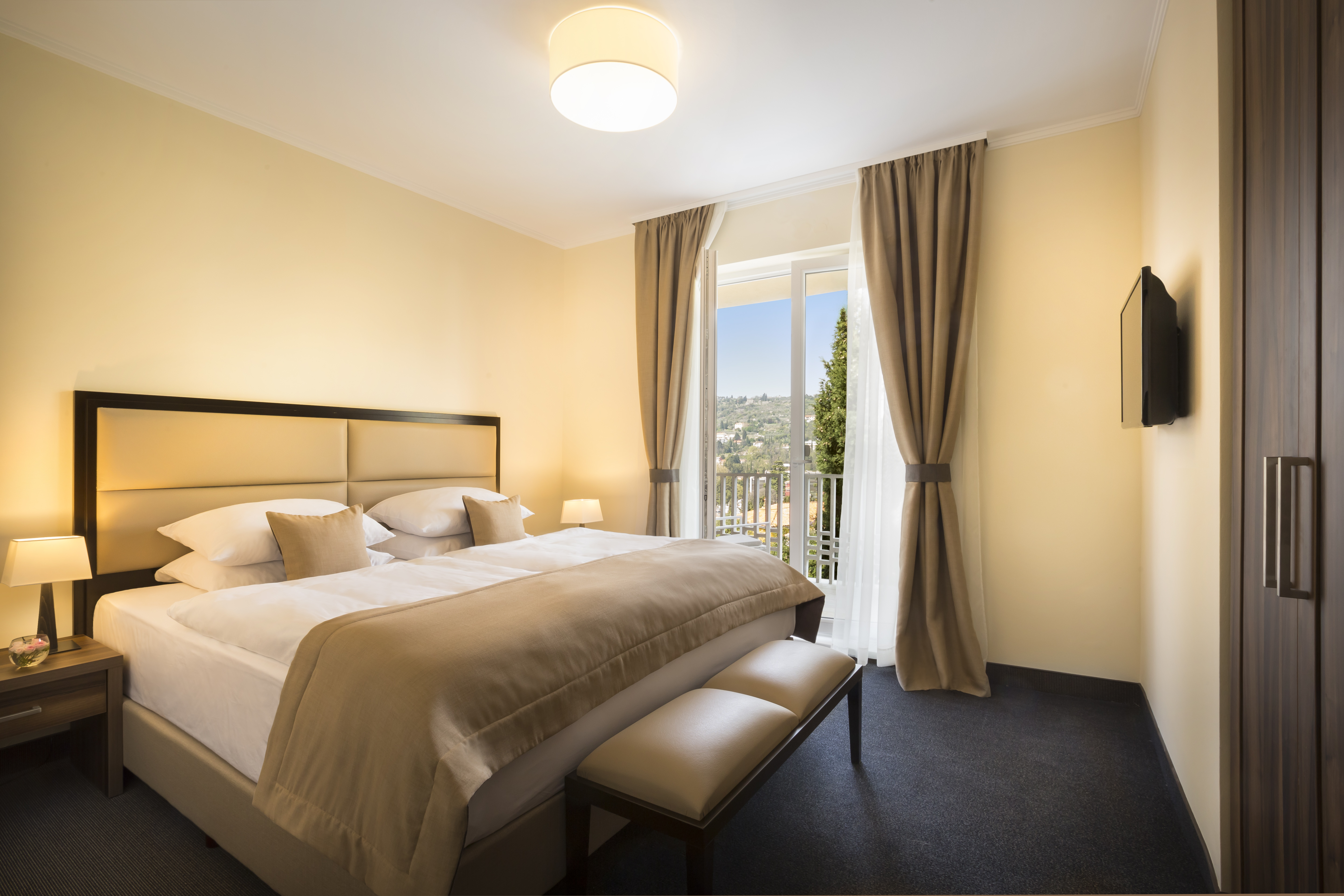 Suite Park View with Balcony