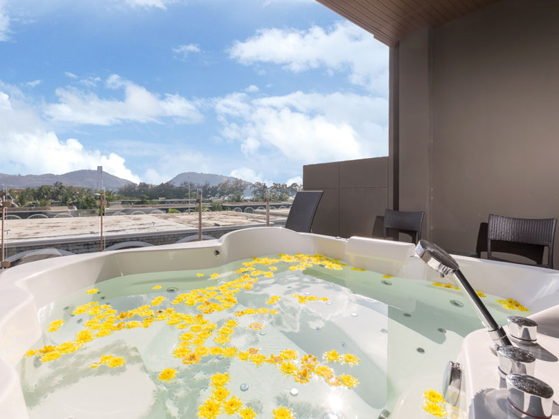 Double or Twin Executive